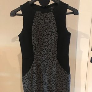 Ann Taylor Dress